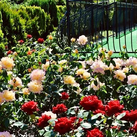 Séjour chez l'habitant Jantar Miejscowosc Ostrowo