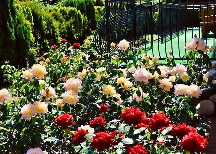 ホームステイ Jantar Miejscowosc Ostrowo